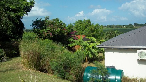 VILLA ROSEAU Les hauts de la cannaie