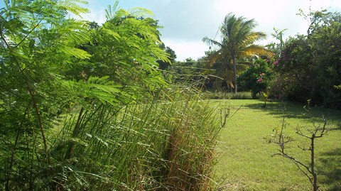 VILLA ROSEAU Les hauts de la cannaie